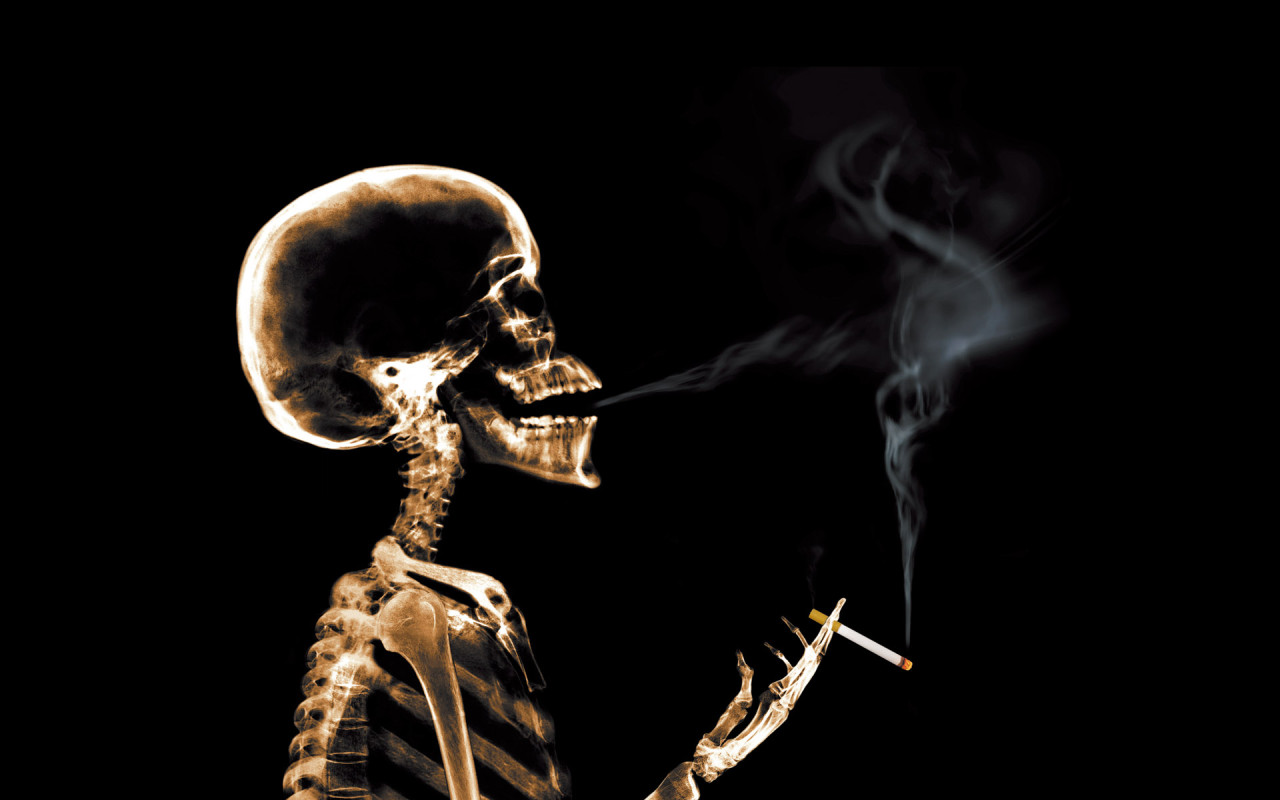 Реферат Вред Курения На Организм Человека